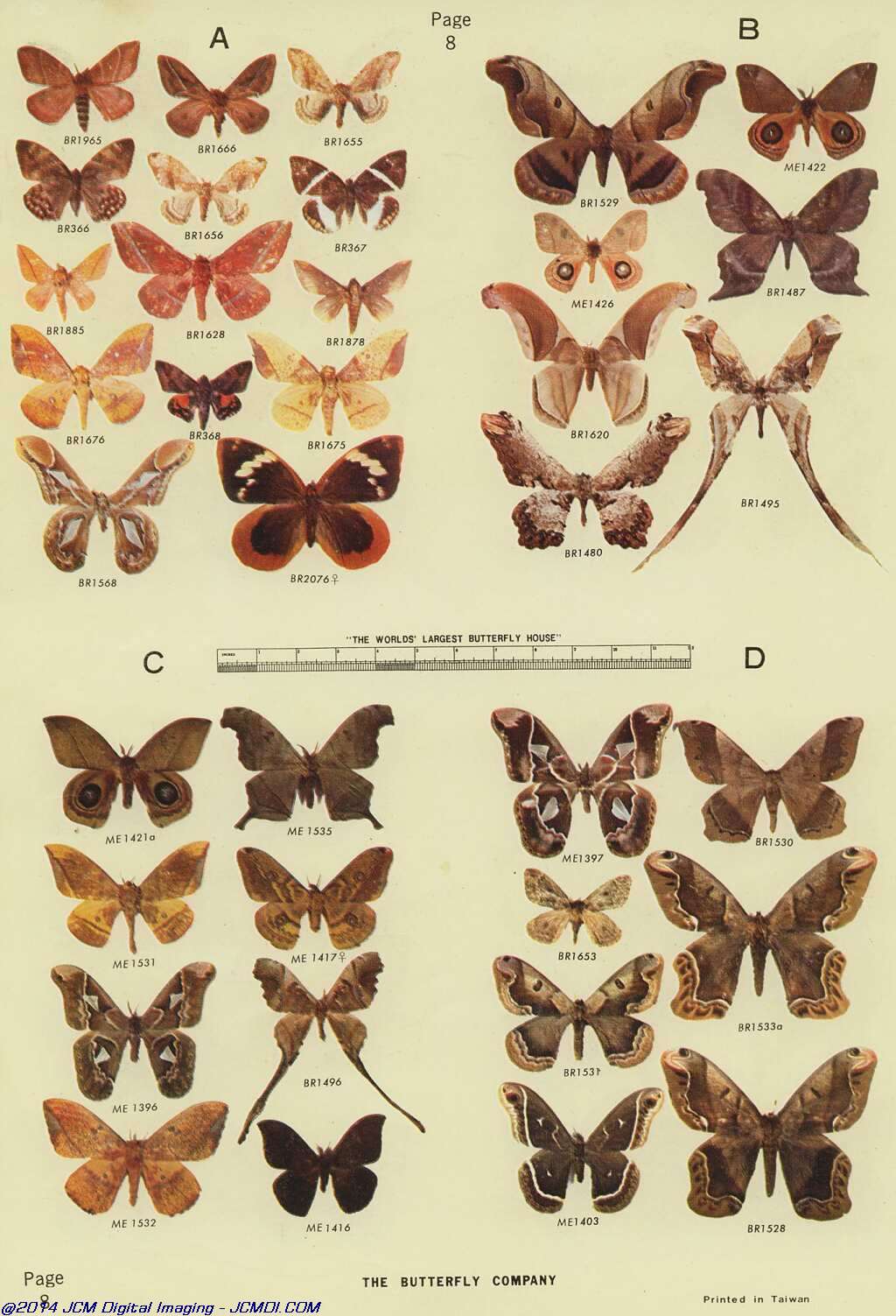 The Butterfly Company (NY) 18 page catalog 1976